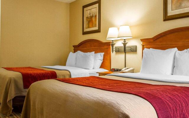 Comfort Inn & Suites Wilton