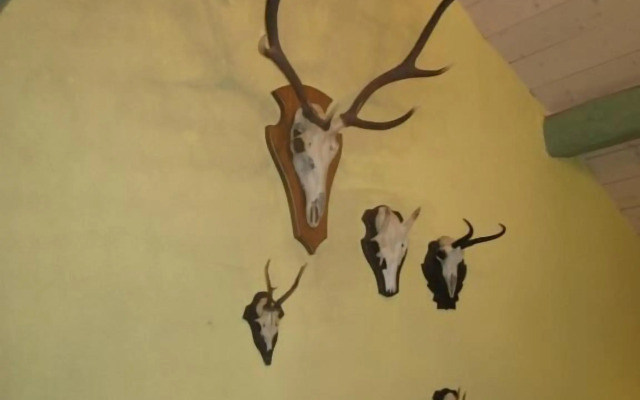 Romantikmühle Heartlandranch