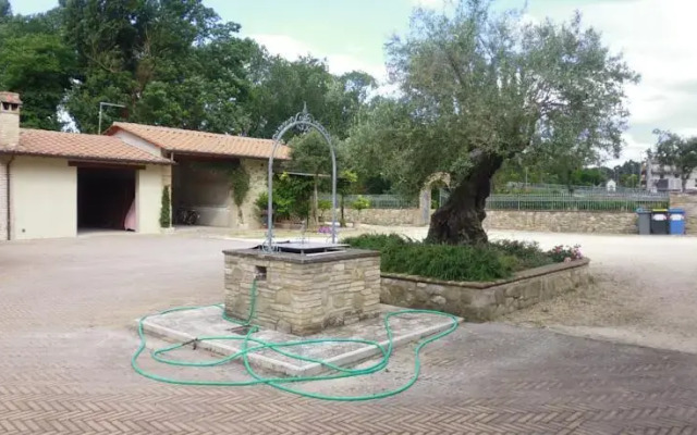 Il Garofano