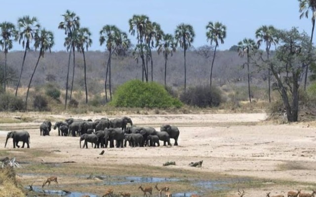 Kasi Tembo Rest House