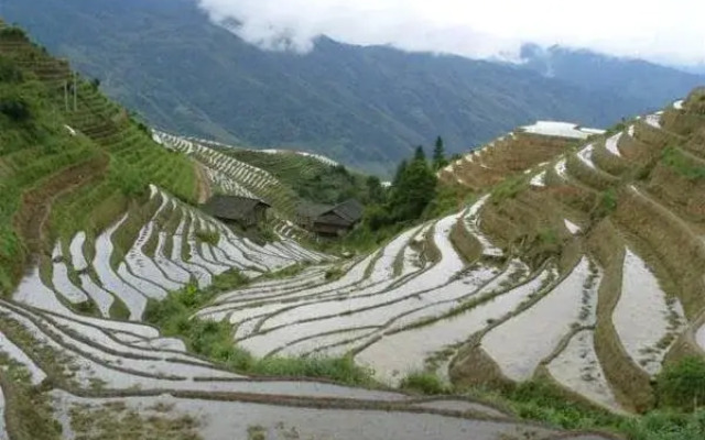 Zhen Chen Resort