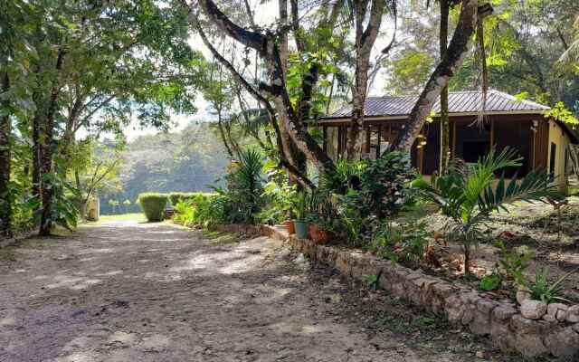The Cabins at Monkey Fall