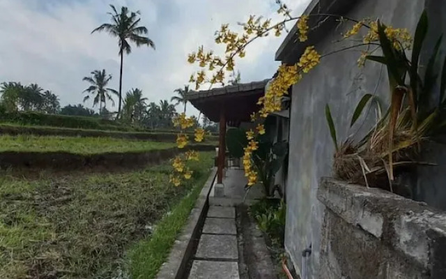 Rumah Kemuning Bali