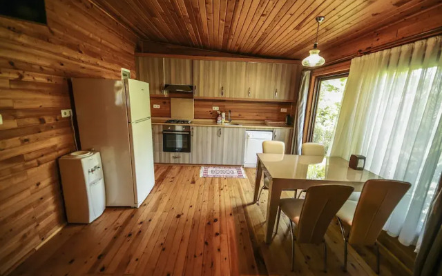 Cirali Villa Zeytin