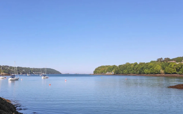 Ynys Castell