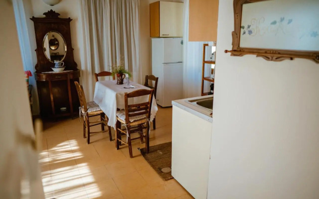 Traditional Architecture Seafront Stone House in 25000sqm Olive Grove - C