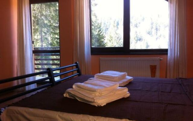 Vila Bearpeak