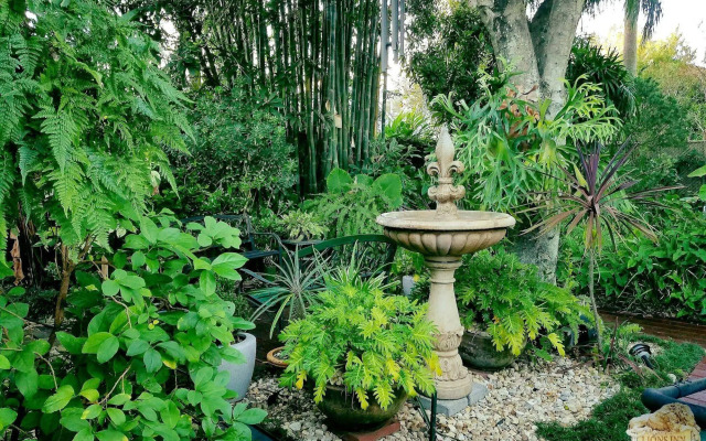 Lion's Inn Bed and Breakfast