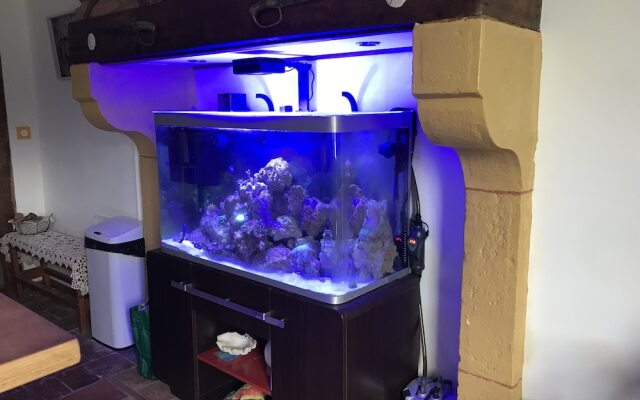 Chambres Bambou & Corail & Music