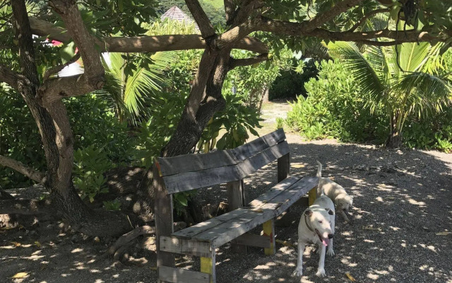 Punatea Village