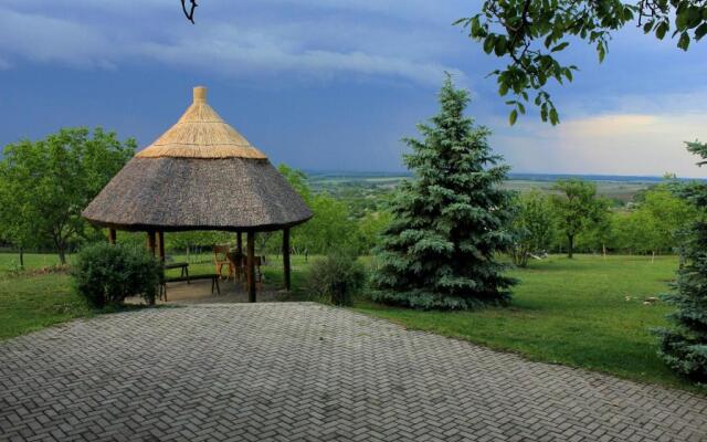 Dióliget - Diófácska Présház