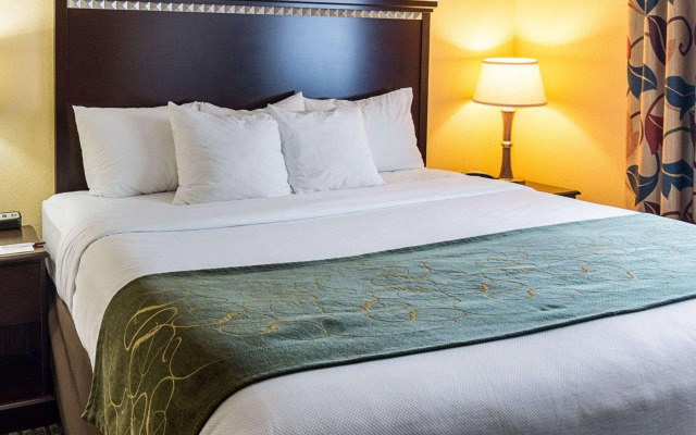 Comfort Suites Nacogdoches