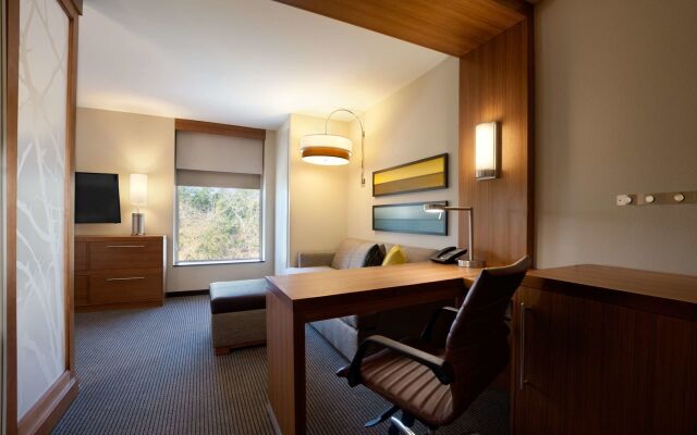 Hyatt Place Houston / The Woodlands