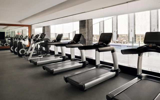Radisson Blu Hotel and Convention Center, Riyadh Minhal
