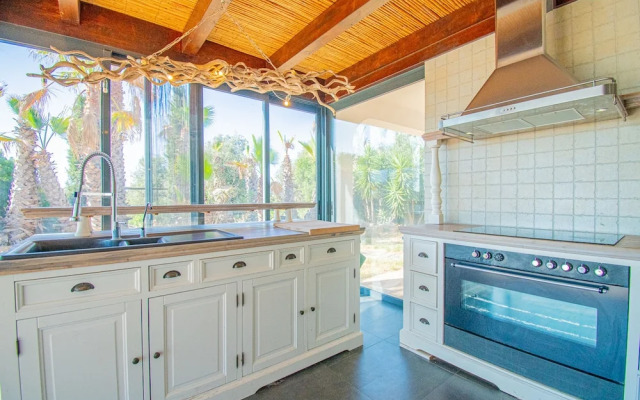 Yoba Horse Farm in Carvoeiro