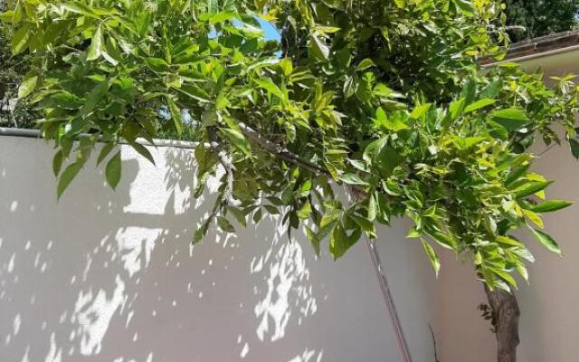 Logement ENTIER, NETFLIX Jacuzzi en option