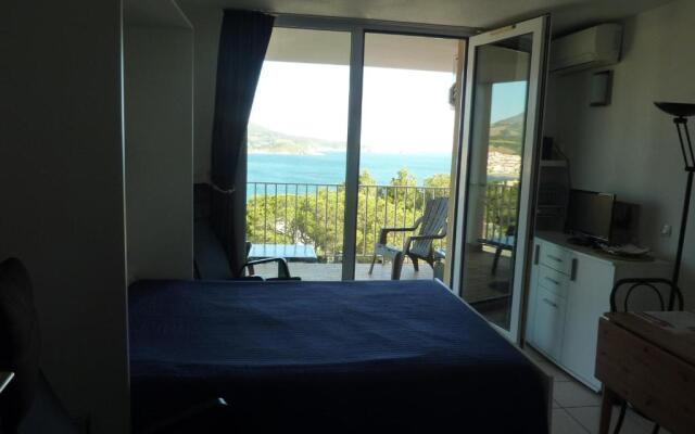 Appartement Banyuls-sur-Mer, 1 pièce, 2 personnes - FR-1-309-92