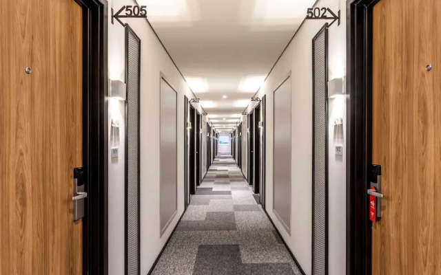 Ibis Aruja