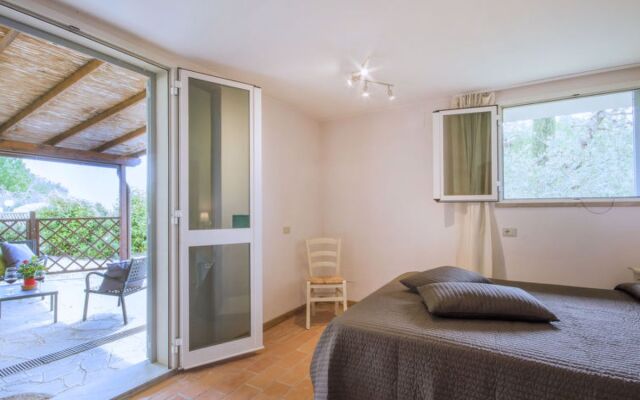 Apartment Olivo Montaione