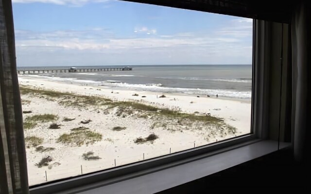 Royal Palms 501 by RedAwning