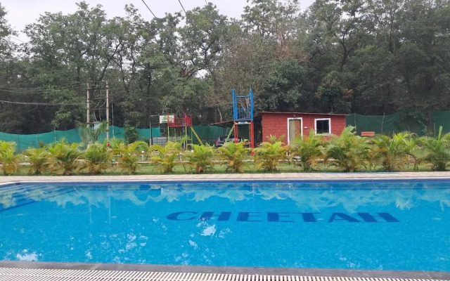 Cheetah Farms Jungle Stay