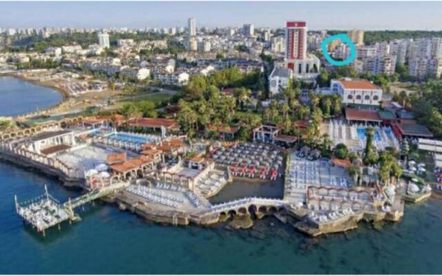 50 meters from the Lara Beach