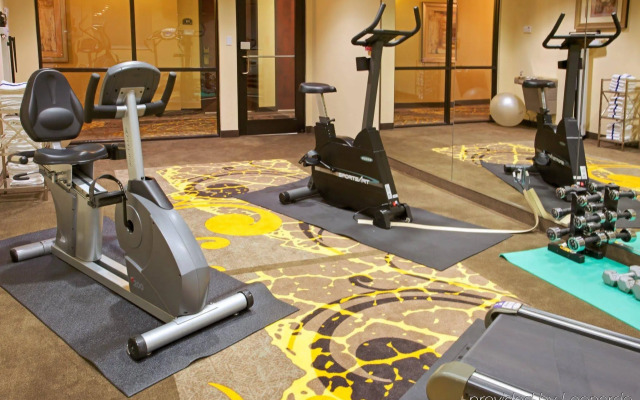 Holiday Inn Express Hotel & Suites Pearland by IHG