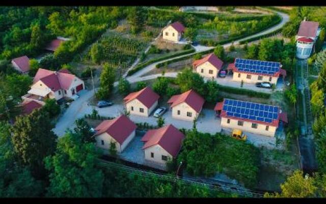 Tulipán Apartman