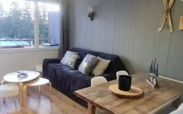 Studio Chamrousse, 1 pièce, 4 personnes - FR-1-549-96