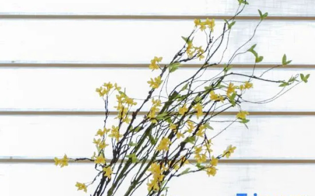 Zuiyuelou Guesthouse