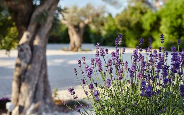 Agapanto Masseria