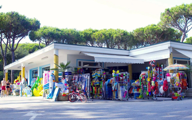 Camping Waikiki
