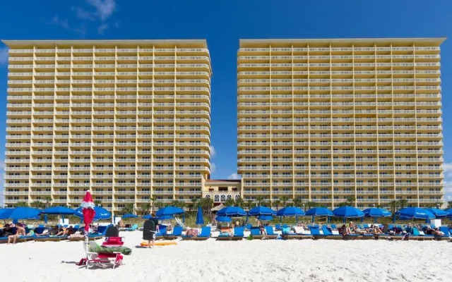 Calypso By BlueSwell