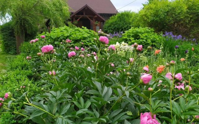 Agroturystyka Pod Lipą