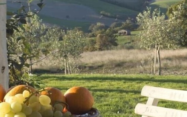 Verdidea - VILLA AMATO