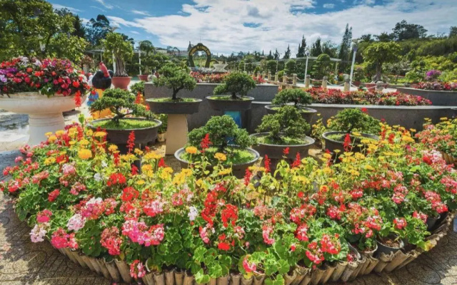 Da Lat Cam Ly Hotel