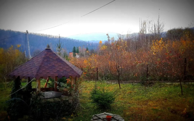 Panorama
