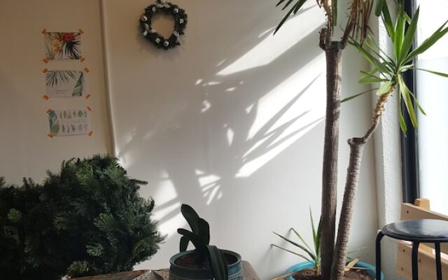 Lemon Tree Guesthouse 2 - Hostel