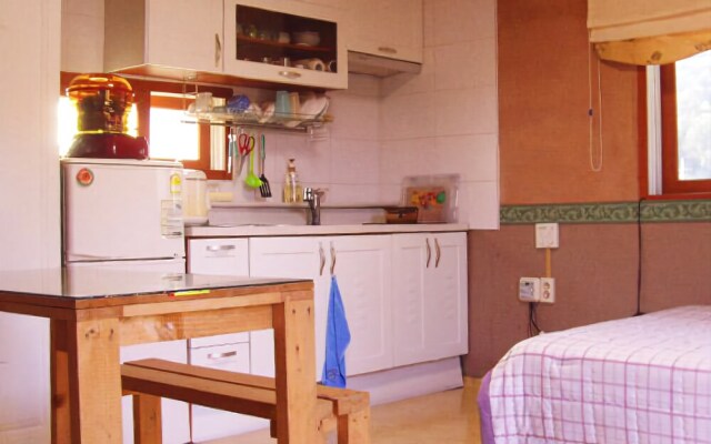 Danyang Geumsusan Log Pension