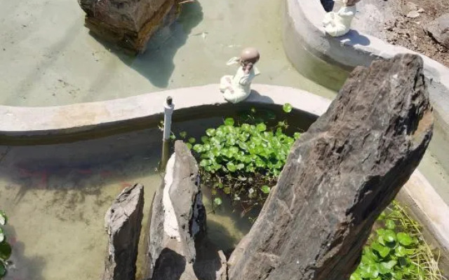 YunLu Homestay (Shanghai International Tourism Resort)
