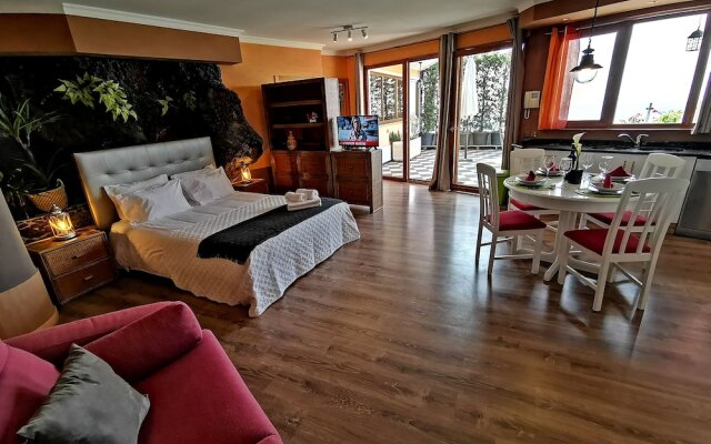 Castelo Austria - Top Floor Studio