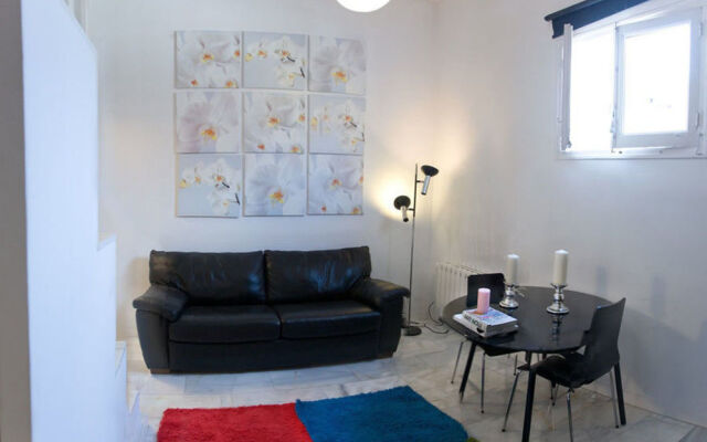 Apartamentos Puerta del Sol-Lofts Calle Ribera de Curtidores