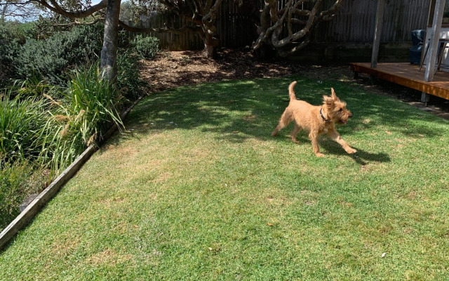 Burra Beach Retreat for Two