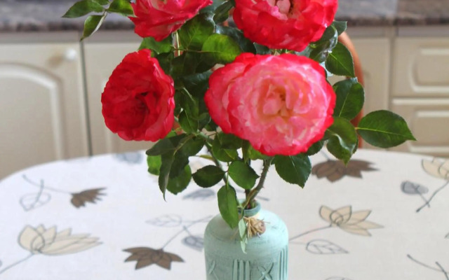 Strandfürdő Apartman