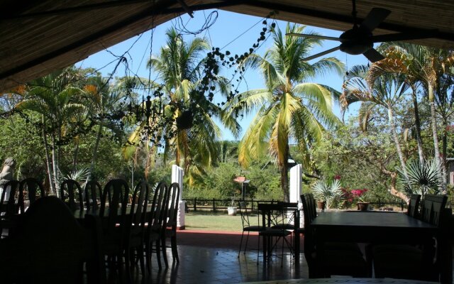 Paraiso del Cocodrilo