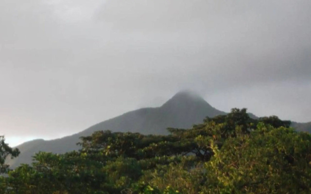 Tanna Lava View Bungalows