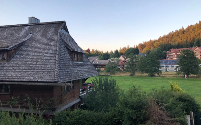 Ferienhaus Lickert Ferienwohnung Süd Feldberg