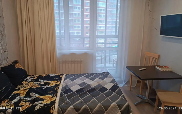 Апартаменты на улице Пискунова