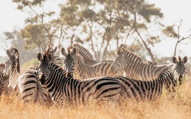 Belmond Safaris