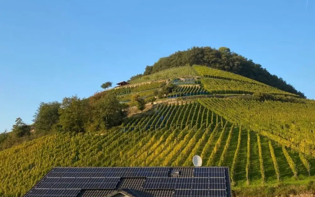 Holiday Apartment Forest